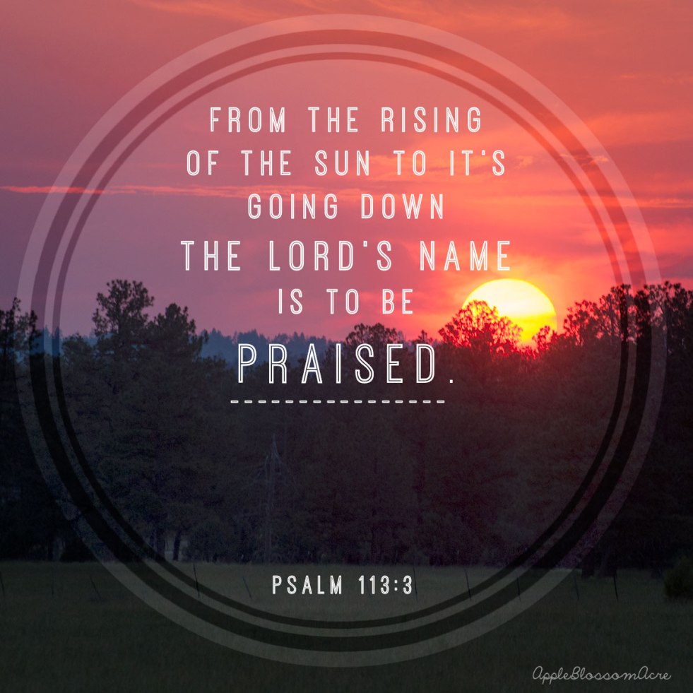 Psalm1133